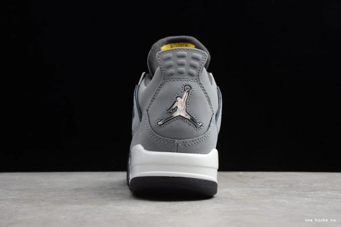 Chep Onekick Air Cool Jordan Grey (2019) 308497-007 4 Retro 0601